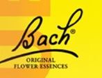 Fleur de Bach Rescue