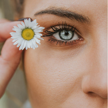 Brain and eye health - lutein, zeathanine, PC, AMD, cataract, night vision - ebambu.ca