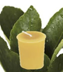 Honey Candles - Essential Votives - Candles scented with essential oils by Honey Candles - Ebambu.ca natural health product store - free shipping <59$ 